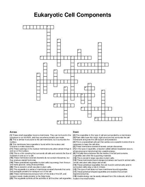 Eukaryotic Cell Components Crossword Puzzle