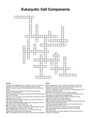 Eukaryotic Cell Components crossword puzzle