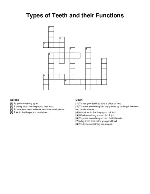 Types of Teeth and their Functions Crossword Puzzle