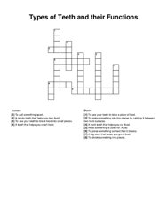 Types of Teeth and their Functions crossword puzzle