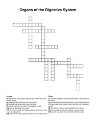 Organs of the Digestive System crossword puzzle