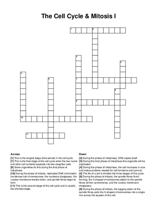 The Cell Cycle & Mitosis I Crossword Puzzle