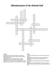 Ultrastructure of An Animal Cell crossword puzzle