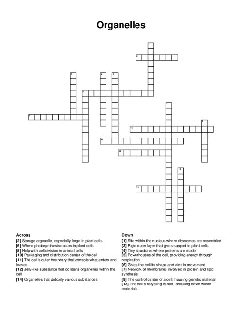 Organelles Crossword Puzzle