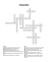 Organelles crossword puzzle