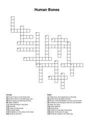 Human Bones crossword puzzle