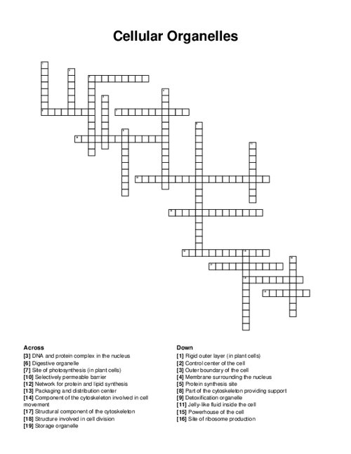 Cellular Organelles Crossword Puzzle