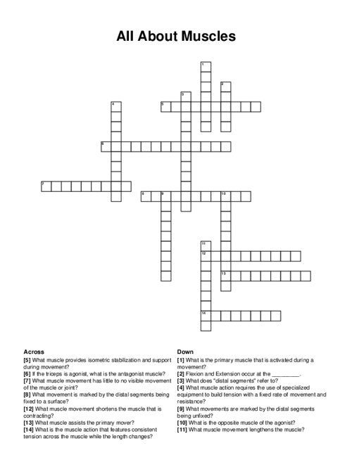 All About Muscles Crossword Puzzle