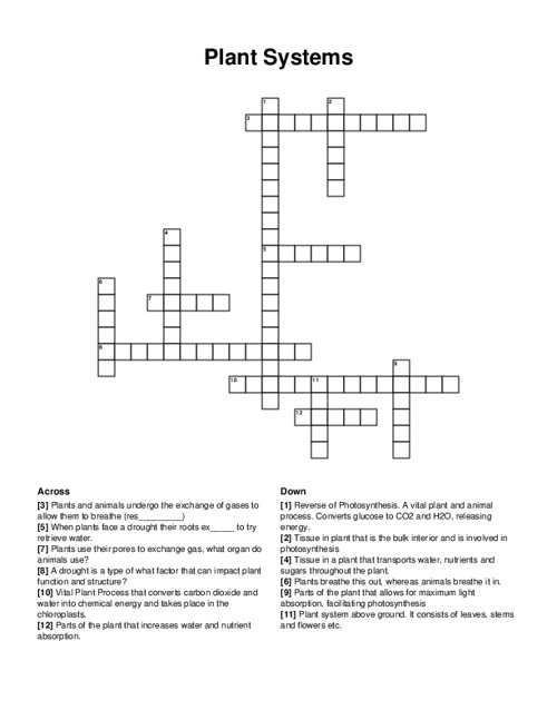 Plant Systems Crossword Puzzle