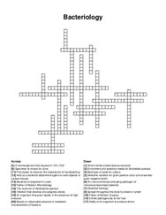 Bacteriology crossword puzzle