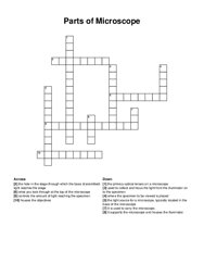 Parts of Microscope crossword puzzle