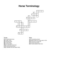 Horse Terminology crossword puzzle