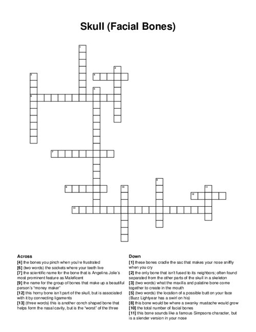 Skull (Facial Bones) Crossword Puzzle