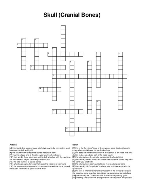 Skull (Cranial Bones) Crossword Puzzle