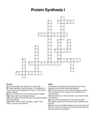 Protein Synthesis I crossword puzzle