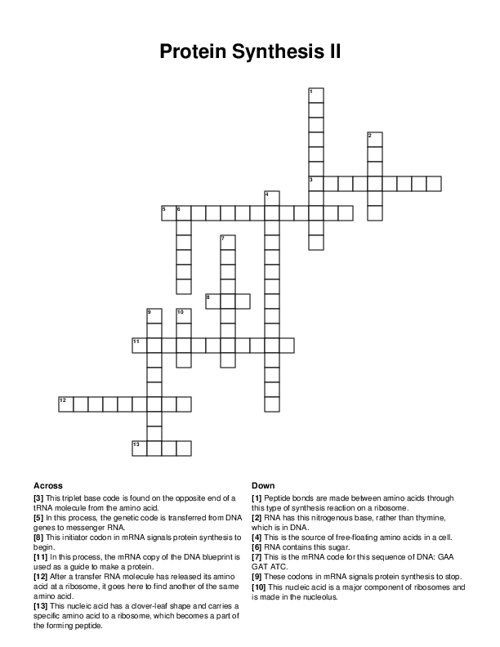 Protein Synthesis II Crossword Puzzle