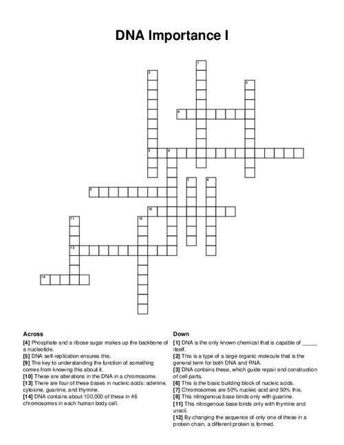 DNA Importance I Crossword Puzzle