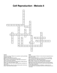 Cell Reproduction - Meiosis Ii crossword puzzle