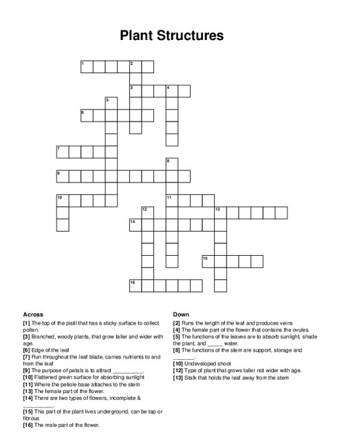 Plant Structures Crossword Puzzle