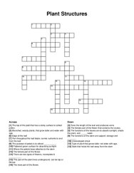 Plant Structures crossword puzzle