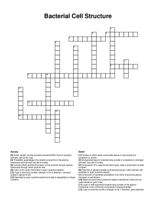 Bacterial Cell Structure Crossword Puzzle