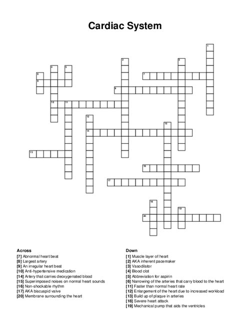 Cardiac System Crossword Puzzle