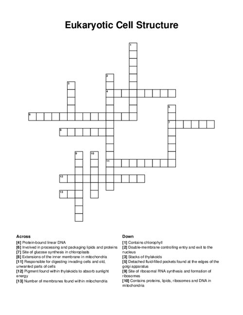 Eukaryotic Cell Structure Crossword Puzzle