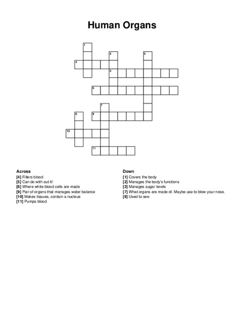 Human Organs Crossword Puzzle