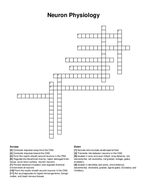 Neuron Physiology Crossword Puzzle