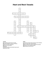 Heart and Neck Vessels crossword puzzle