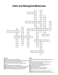 Cells and Biological Molecules crossword puzzle