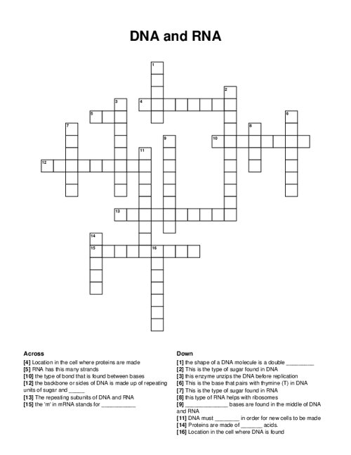 DNA and RNA Crossword Puzzle