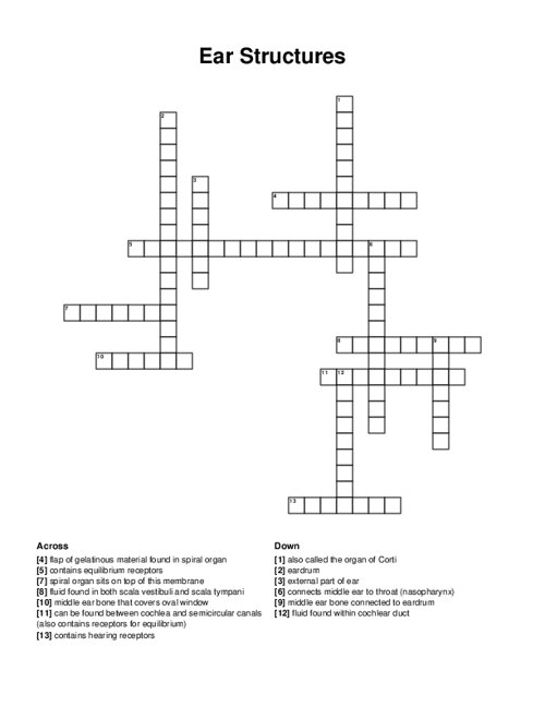 Ear Structures Crossword Puzzle