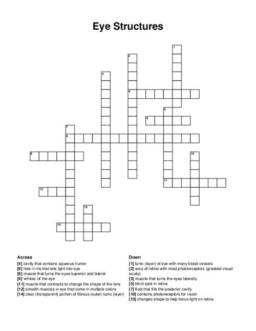 Eye Structures Crossword Puzzle