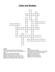 Cells and Bodies crossword puzzle