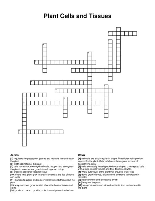 Plant Cells and Tissues Crossword Puzzle