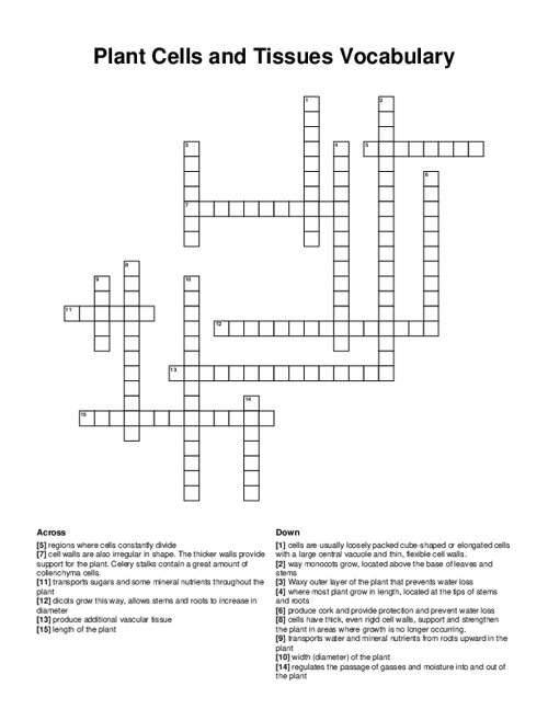 Plant Cells and Tissues Vocabulary Crossword Puzzle