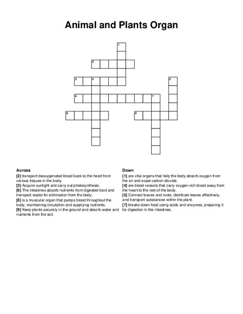 Animal and Plants Organ Crossword Puzzle