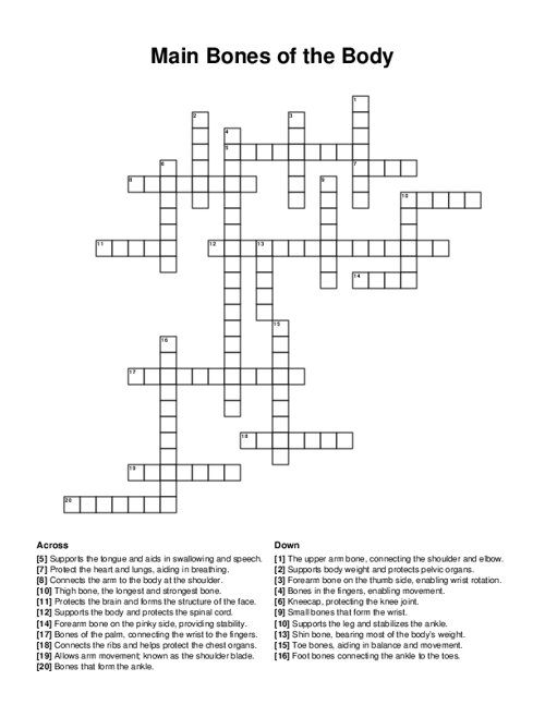 Main Bones of the Body Crossword Puzzle