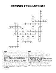 Rainforests & Plant Adaptations crossword puzzle