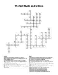 The Cell Cycle and Mitosis crossword puzzle