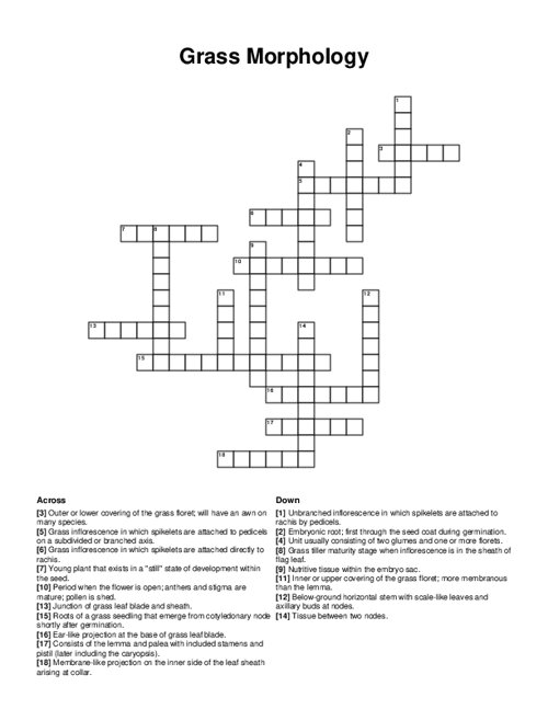 Grass Morphology Crossword Puzzle