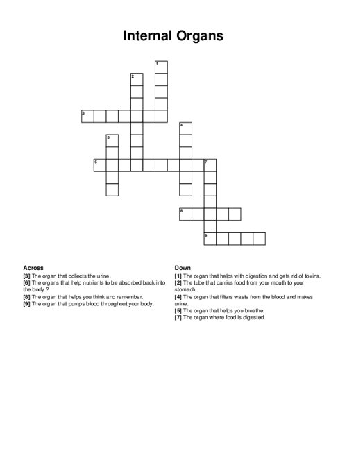 Internal Organs Crossword Puzzle