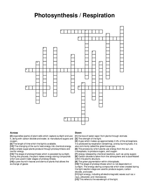 Photosynthesis / Respiration Crossword Puzzle