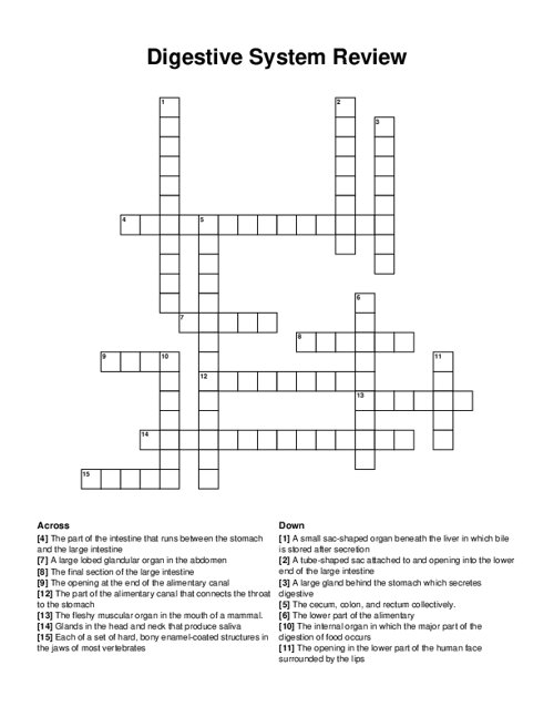 Digestive System Review Crossword Puzzle