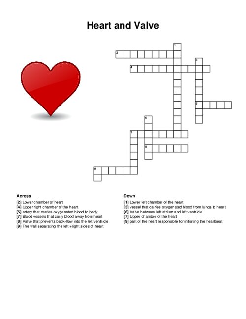 Heart and Valve Crossword Puzzle