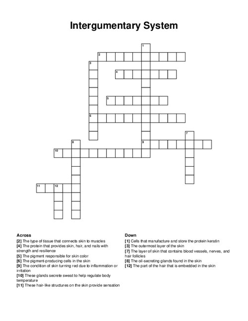 Intergumentary System Crossword Puzzle