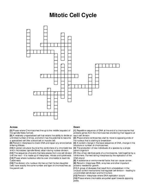 Mitotic Cell Cycle Crossword Puzzle