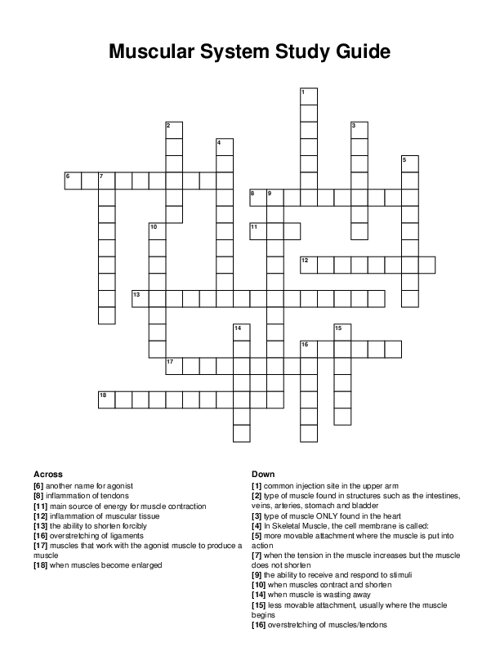 Muscular System Study Guide Crossword Puzzle