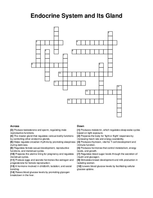 Endocrine System and Its Gland Crossword Puzzle